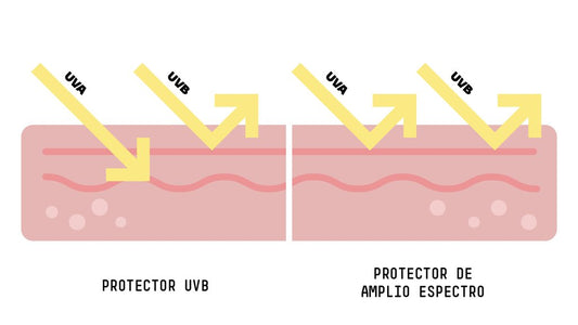 ilustración de rayos uvb y uva impactando en la piel