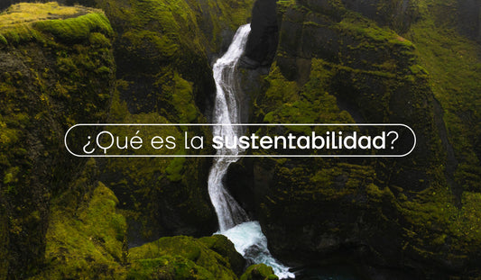 "¿Qué es la sustentabilidad?" escrito con letras blancas sobre un paisaje verde